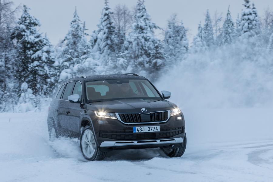  Skoda Kodiaq Scout 2017 года  (WW) (фото 17 из 61)